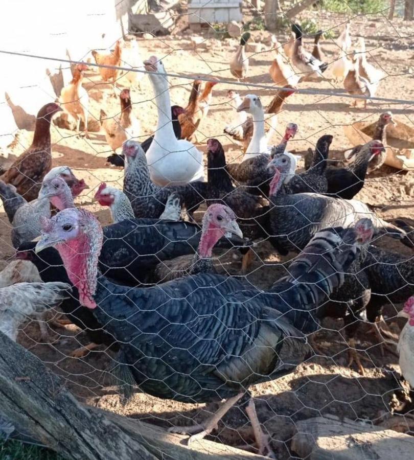 Sitio No Interior De Sp Para Curtir A Natureza Águas da Prata Buitenkant foto