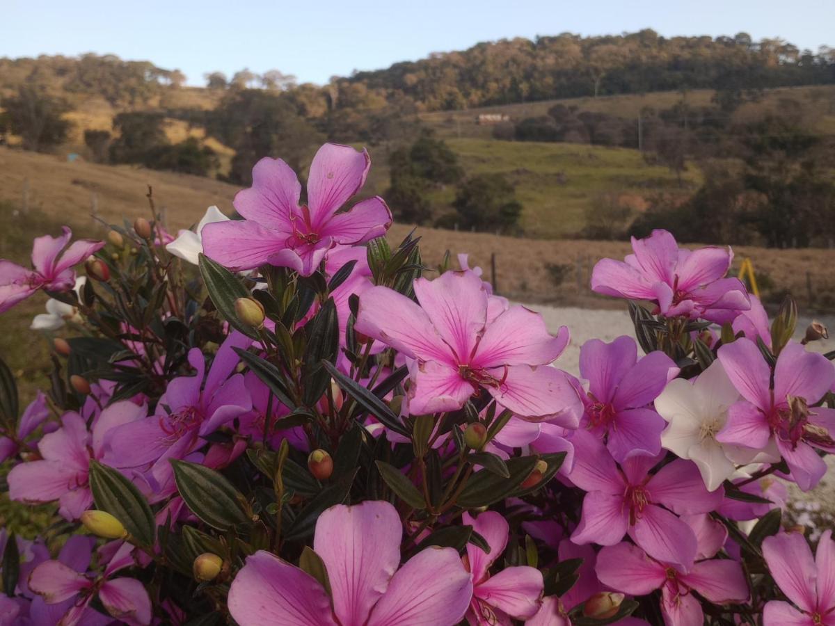 Sitio No Interior De Sp Para Curtir A Natureza Águas da Prata Buitenkant foto